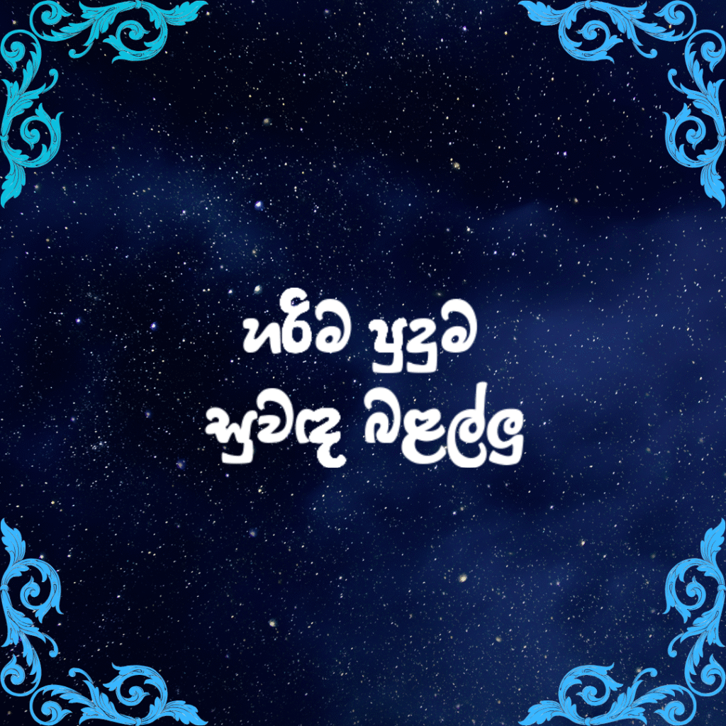 හරිම පුදුම සුවඳ බළල්ලු