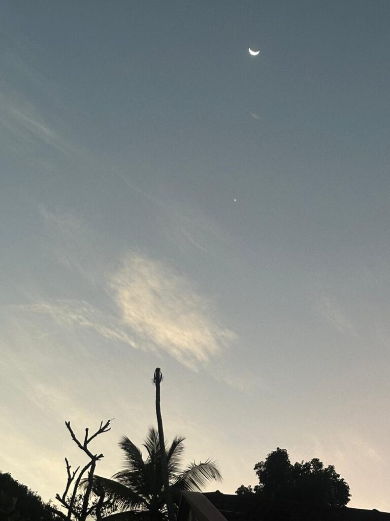 Hiraeth Awareness of the Presence of Absence