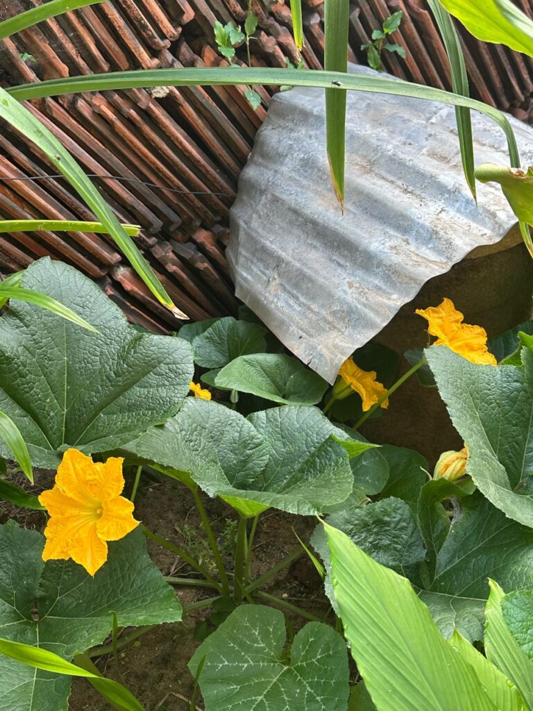 Everyday fairy tales